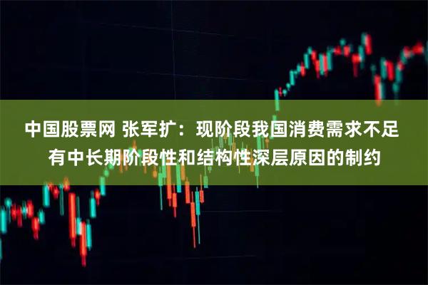 中国股票网 张军扩：现阶段我国消费需求不足 有中长期阶段性和结构性深层原因的制约