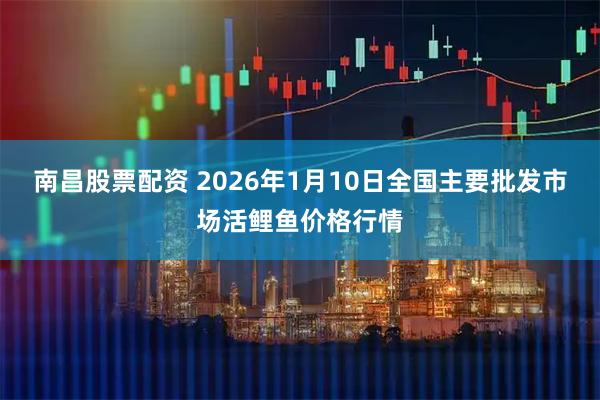 南昌股票配资 2026年1月10日全国主要批发市场活鲤鱼价格行情